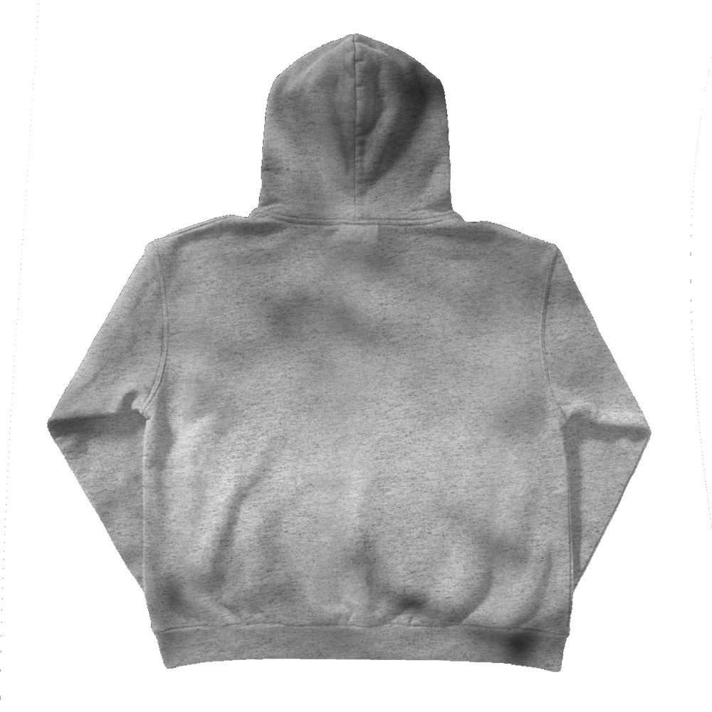 GREY A.R.G.U.E HOODIE